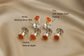 Luxury 22K Gold Plated Tuxedo Shirt Studs 6pcs Blue Topaz, Garnet, Agate & Peridot