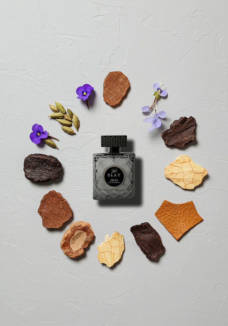 SLAY by ARIAZ 3.4oz/100ml Eau De Parfum for Men – Woody Aromatic + Includes Free Sample Set (6 Scents)